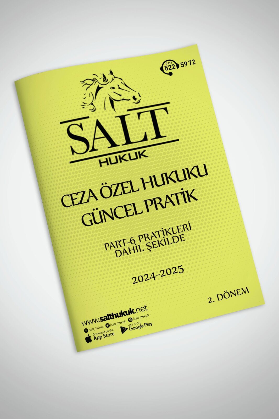 CEZA ÖZEL 2. DÖNEM GÜNCEL PRATİK(İÜHF)-Konu Anlatım Kitapçığı