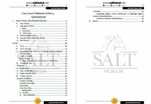 Ceza Genel Hukuku Amfi A 2. Dönem Part-5 (2022-2023)-AÜHF-Konu Anlatım Kitapçığı
