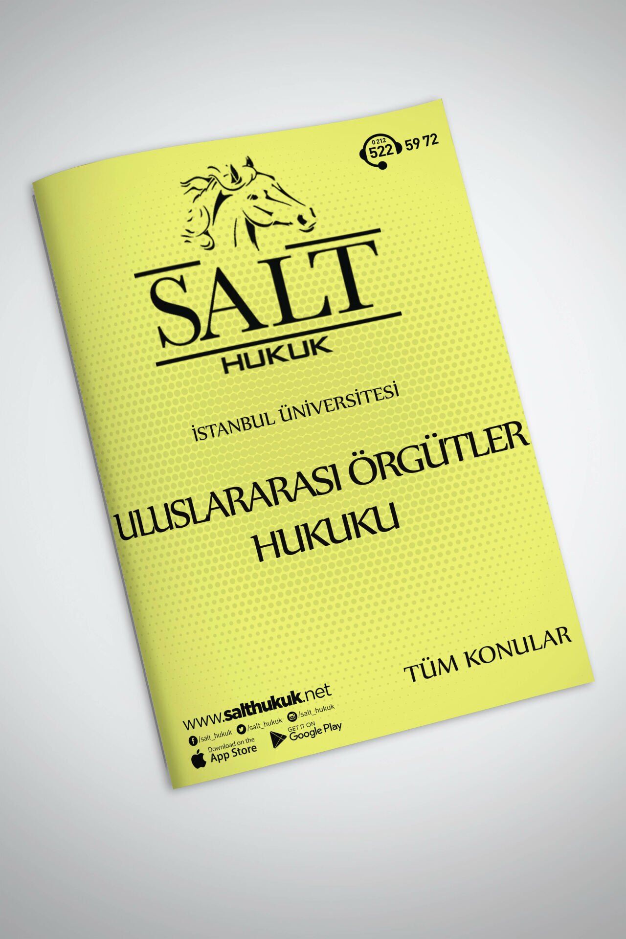 ULUSLARARASI ÖRGÜTLER HUKUKU TÜM KONULAR