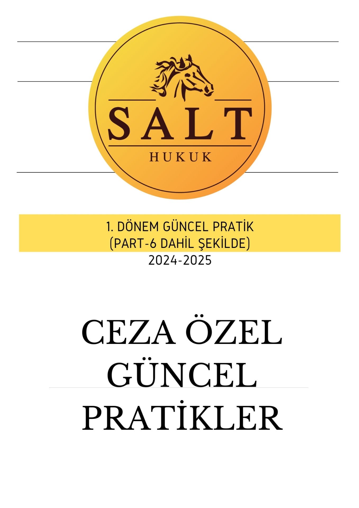 CEZA ÖZEL 1. DÖNEM GÜNCEL PRATİK-Konu Anlatım Kitapçığı