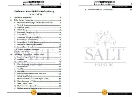 Uluslararası Kamu Hukuku Amfi 2 2. Dönem Not Seti (2020-2021)-DEÜ-Konu Anlatım Kitapçığı