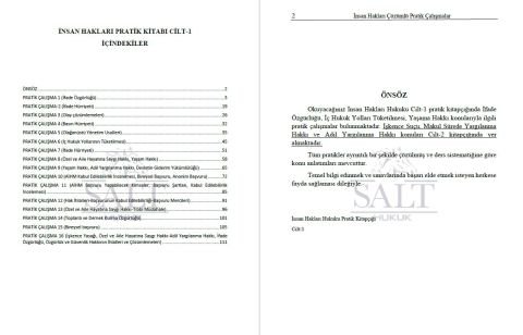 İnsan Hakları Hukuku Konu Anlatımlı ve Çözümlü Pratik Çalışmalar  Cilt-1