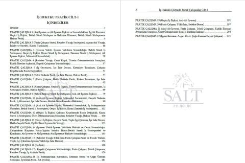 İş Hukuku Konu Anlatımlı ve Çözümlü Pratik Çalışmalar Cilt-1