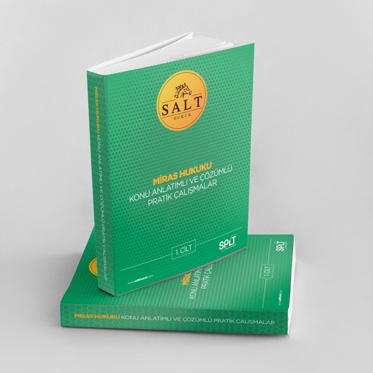 Miras Hukuku Konu Anlatımlı ve Çözümlü Pratik Çalışmalar Cilt-1