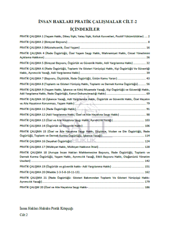 İnsan Hakları Hukuku Konu Anlatımlı ve Çözümlü Pratik Çalışmalar Cilt-2