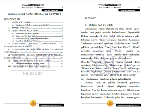 Uluslararası Kamu Hukuku Amfi 2 1. Dönem Part-1 (2020-2021)-DEÜ-Konu Anlatım Kitapçığı