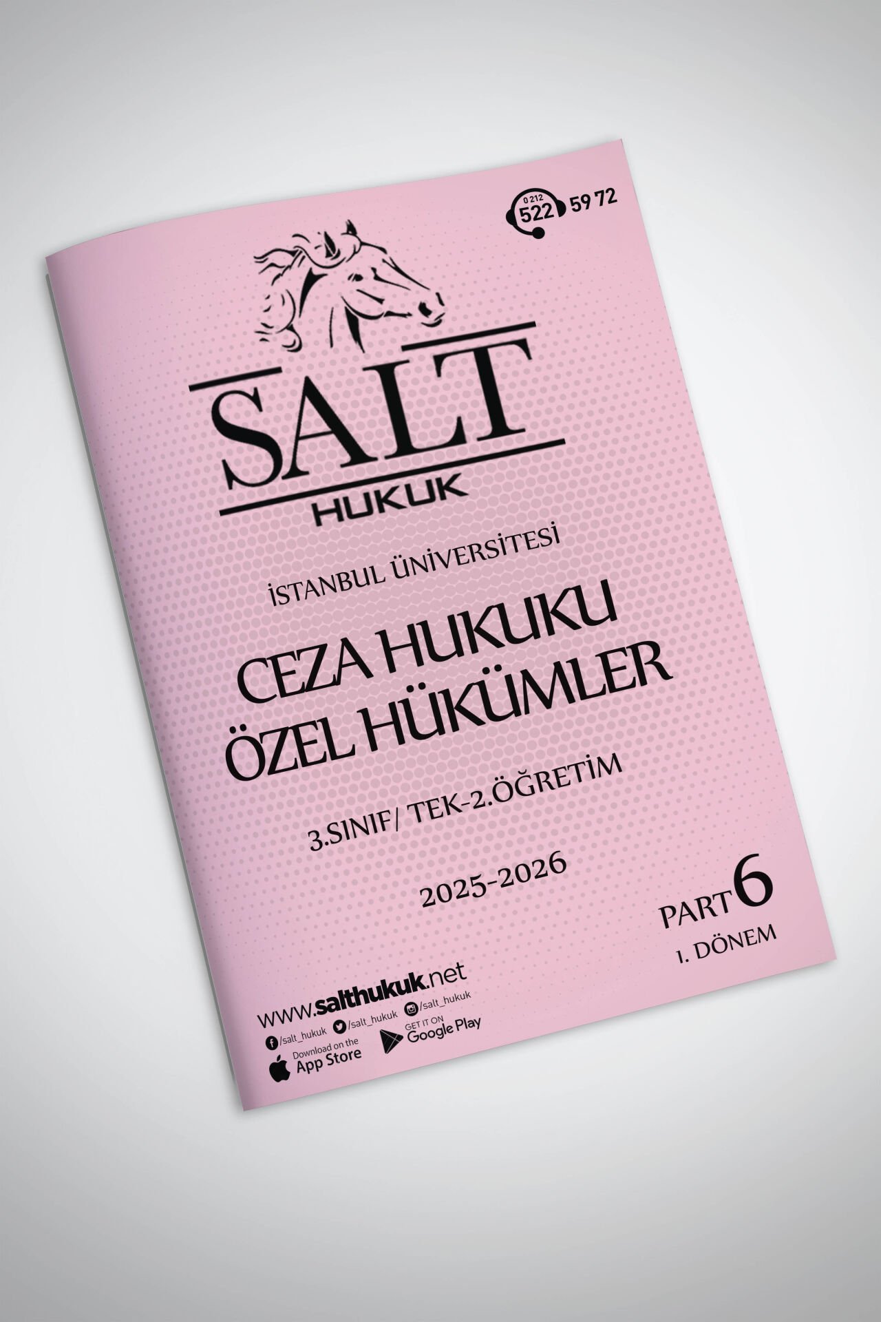 Ceza Özel Hukuku Tek-2.Öğretim 1. Dönem Part-6 (2025-2026)-İÜHF-Konu Anlatım Kitapçığı