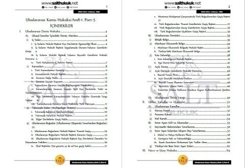 Uluslararası Kamu Hukuku Amfi 1 2. Dönem Part-5 (2020-2021)-DEÜ-Konu Anlatım Kitapçığı